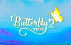 Butterfly staxx 2