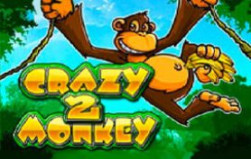 Crazy Monkey 2