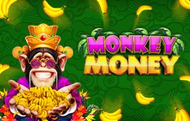 Monkey Money