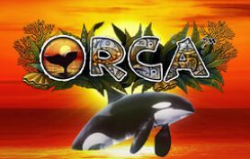 Orca