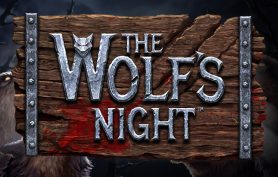 Wolfs Night